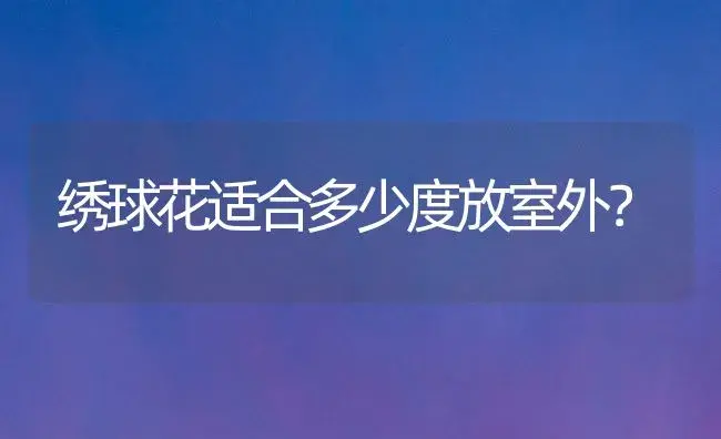 绣球花适合多少度放室外？ | 绿植常识