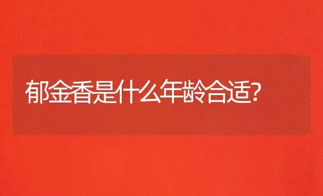 郁金香是什么年龄合适？ | 绿植常识