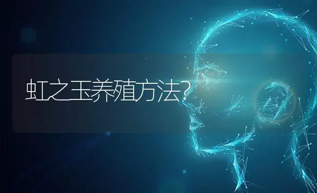虹之玉养殖方法？ | 多肉养殖