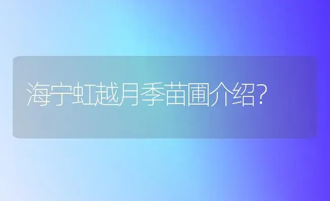 海宁虹越月季苗圃介绍？ | 绿植常识