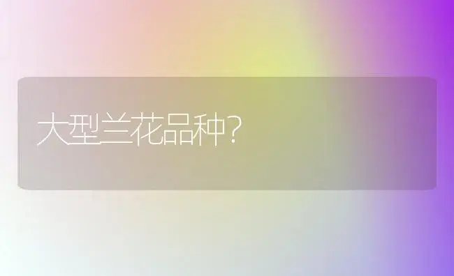 大型兰花品种？ | 绿植常识