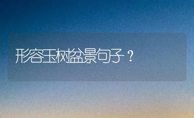 形容玉树盆景句子？ | 多肉养殖