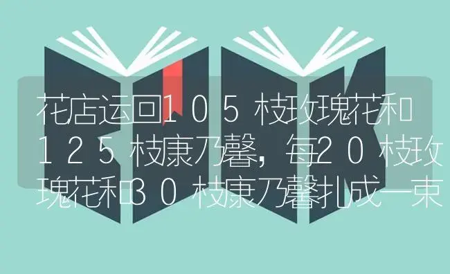 花店运回105枝玫瑰花和125枝康乃馨，每20枝玫瑰花和30枝康乃馨扎成一束花，可以扎几束？扎完后玫瑰花和康？ | 绿植常识