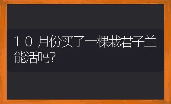 10月份买了一棵栽君子兰能活吗？ | 绿植常识