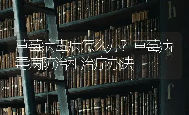 草莓病毒病怎么办？草莓病毒病防治和治疗办法 | 果木种植