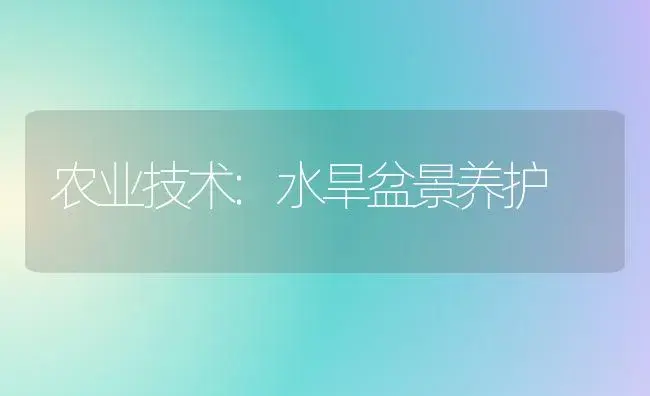 农业技术:水旱盆景养护 | 家庭养花