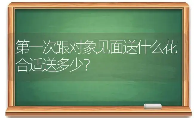 第一次跟对象见面送什么花合适送多少？ | 绿植常识