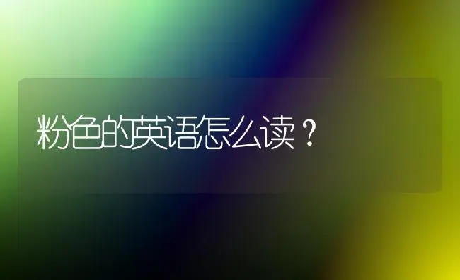 粉色的英语怎么读？ | 绿植常识