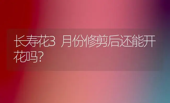 长寿花3月份修剪后还能开花吗？ | 多肉养殖