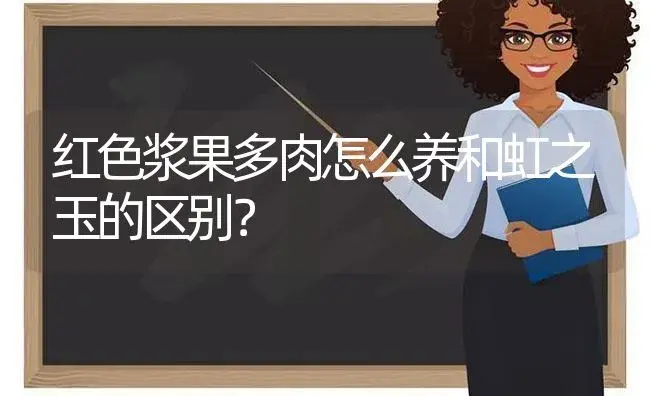 红色浆果多肉怎么养和虹之玉的区别？ | 多肉养殖