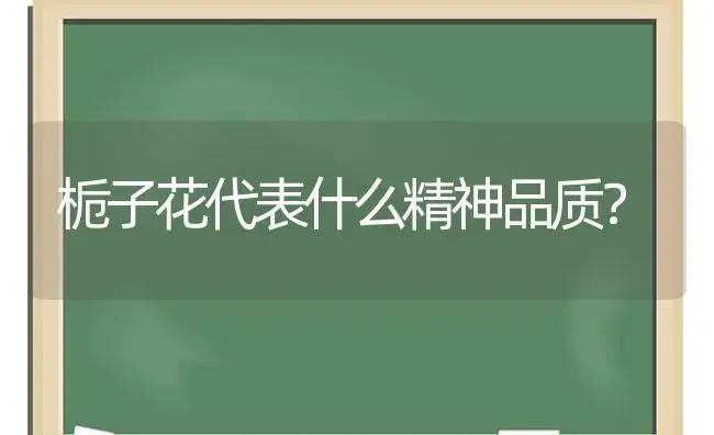 栀子花代表什么精神品质？ | 绿植常识