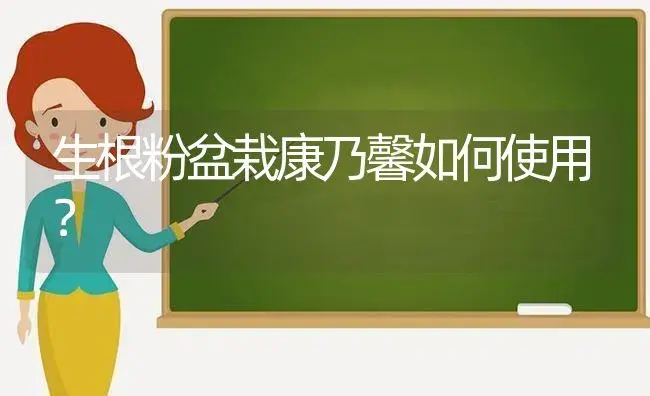 生根粉盆栽康乃馨如何使用？ | 绿植常识