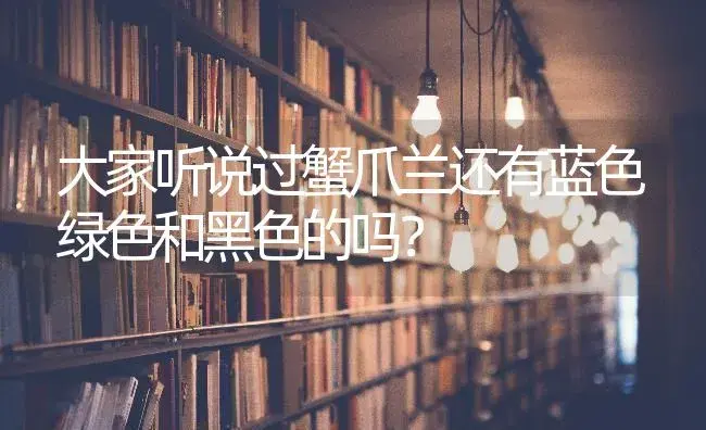 大家听说过蟹爪兰还有蓝色绿色和黑色的吗？ | 多肉养殖