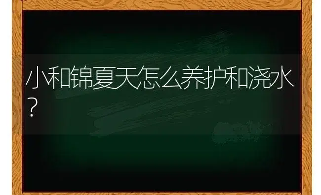 小和锦夏天怎么养护和浇水？ | 多肉养殖