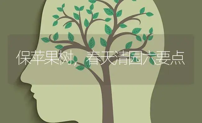 保苹果树，春天清园六要点 | 果木种植