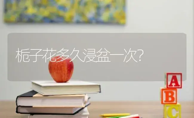 栀子花多久浸盆一次？ | 绿植常识