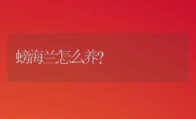 螃海兰怎么养？ | 多肉养殖
