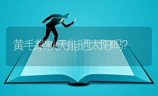 卡寿花开花后怎样处理？ | 多肉养殖
