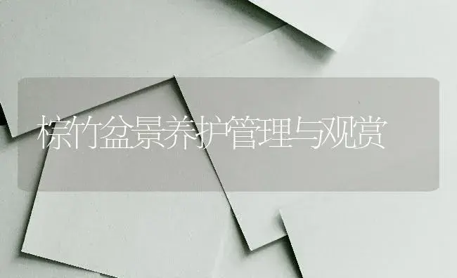 棕竹盆景养护管理与观赏 | 特种种植