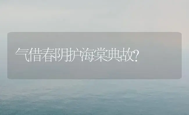 气借春阴护海棠典故？ | 绿植常识