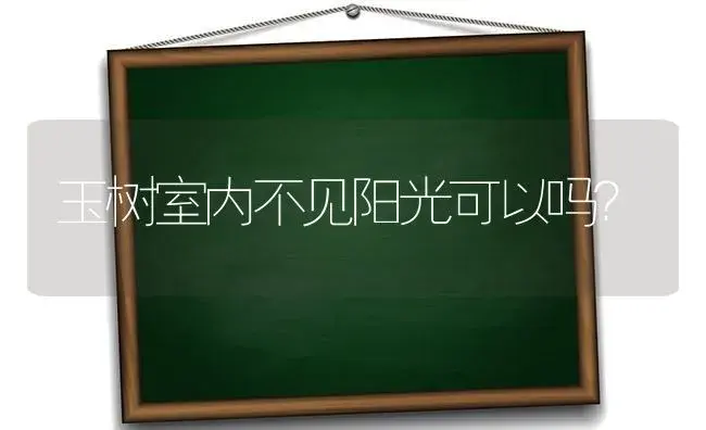 玉树室内不见阳光可以吗？ | 多肉养殖