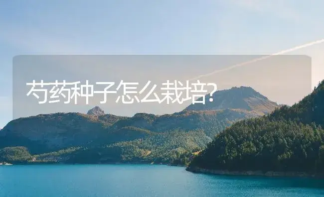 芍药种子怎么栽培？ | 药材种植