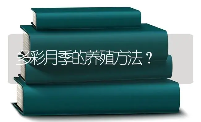 多彩月季的养殖方法？ | 绿植常识