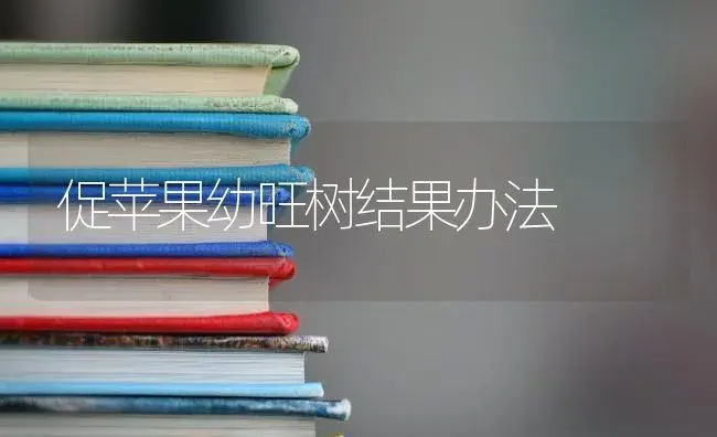 促苹果幼旺树结果办法 | 果木种植