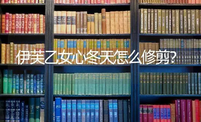 伊芙乙女心冬天怎么修剪？ | 多肉养殖