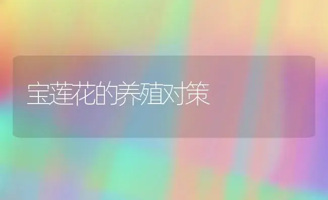 宝莲花的养殖对策 | 家庭养花