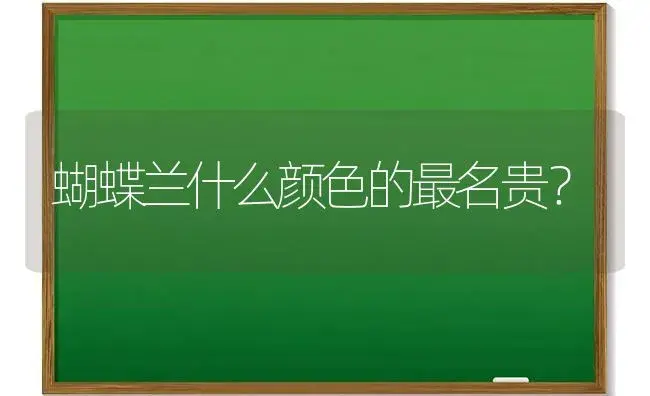 蝴蝶兰什么颜色的最名贵？ | 绿植常识