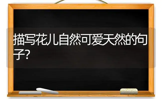 描写花儿自然可爱天然的句子？ | 绿植常识