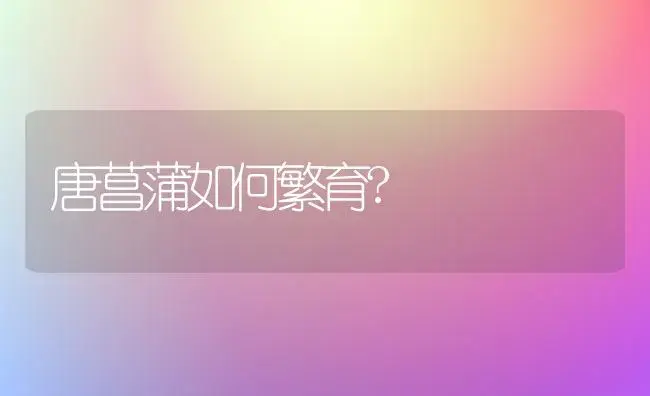 唐菖蒲如何繁育? | 家庭养花