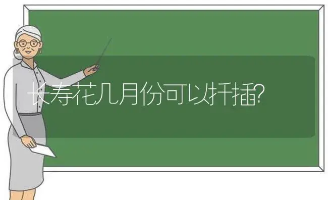 长寿花几月份可以扦插？ | 多肉养殖