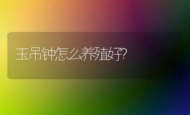 玉吊钟怎么养殖好？ | 家庭养花