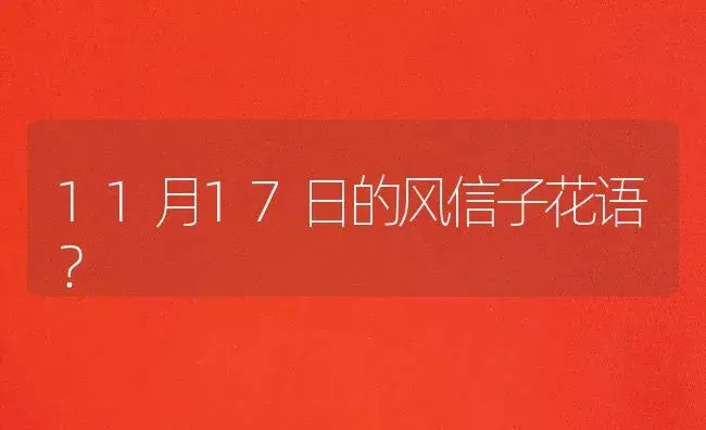 11月17日的风信子花语？ | 绿植常识