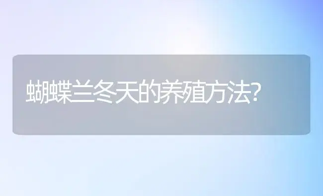 为什么买的杜鹃叶片浓绿光亮？ | 绿植常识