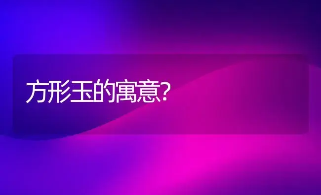 方形玉的寓意？ | 多肉养殖