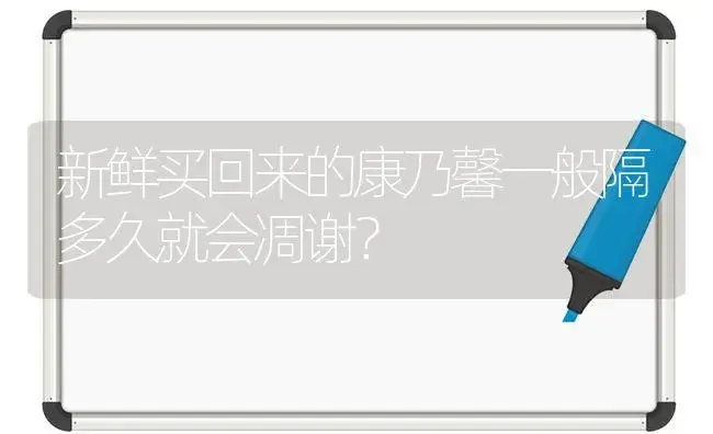 新鲜买回来的康乃馨一般隔多久就会凋谢？ | 绿植常识