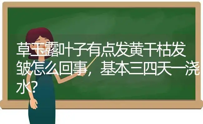 草玉露叶子有点发黄干枯发皱怎么回事,基本三四天一浇水？ | 多肉养殖