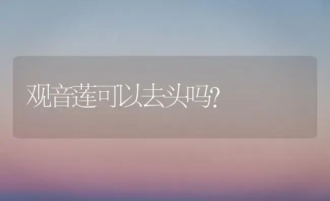 观音莲可以去头吗？ | 多肉养殖