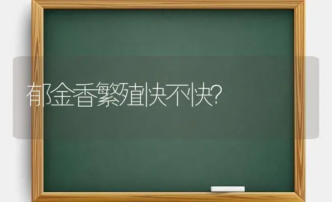 郁金香繁殖快不快？ | 绿植常识