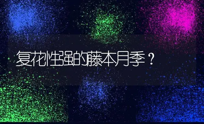 复花性强的藤本月季？ | 绿植常识