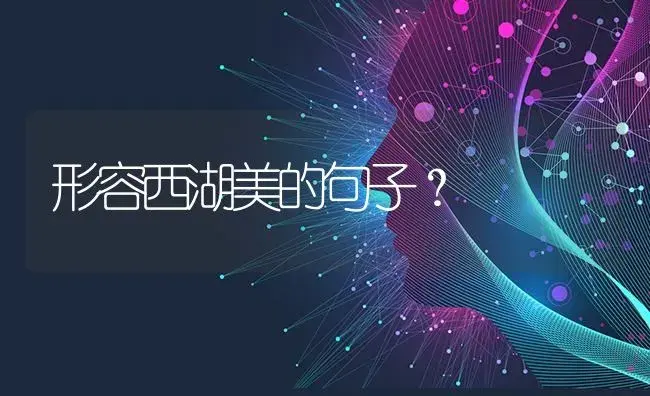 形容西湖美的句子？ | 绿植常识