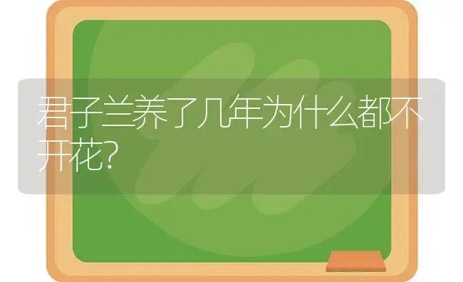 君子兰养了几年为什么都不开花？ | 绿植常识