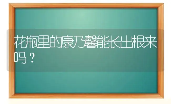 花瓶里的康乃馨能长出根来吗？ | 绿植常识