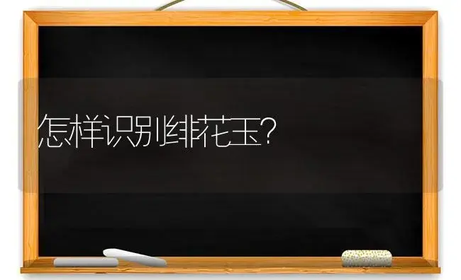 怎样识别绯花玉？ | 多肉养殖