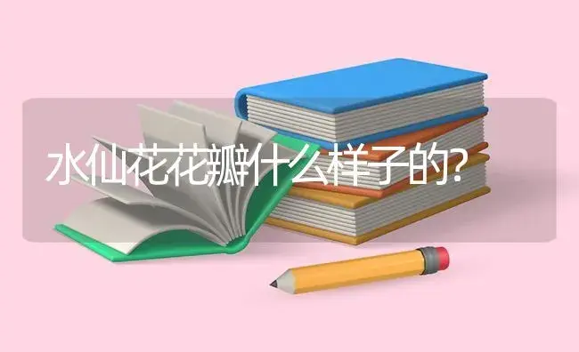 四季杜鹃落叶什么原因？ | 绿植常识