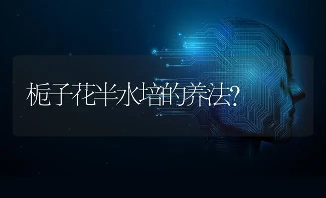 君子兰新叶是黄色的怎么处理？ | 绿植常识