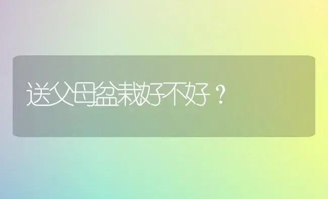 送父母盆栽好不好？ | 绿植常识